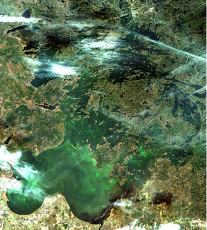 ESA’s Sentinel-2A satellite image, capturing algal blooms on Lake of the Woods October 20, 2017