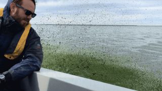 Studies of Lake of the Woods show how water can struggle with a legacy of pollution