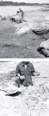 The Rainy River – A Case Study in Pollution and Recovery