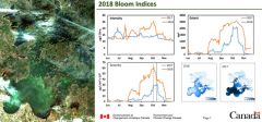 ECCC Science Update:  Measuring Algae Blooms from Space