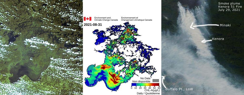 Algae Bloom has arrived on Lake of the Woods