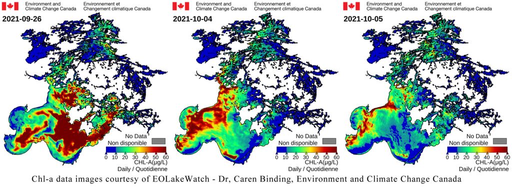 Fall Algae Bloom Continues to Develop
