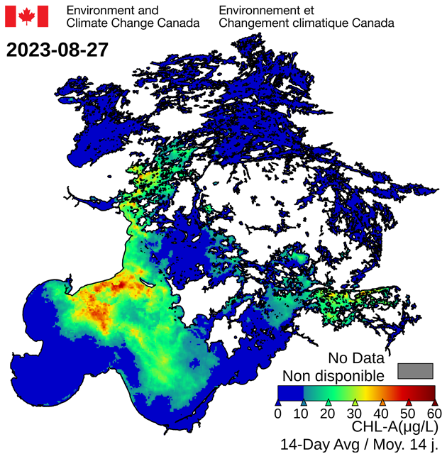 Algae Bloom 2023 is on its way